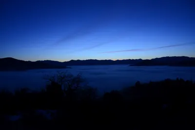 DSC_1075 (Large).JPG